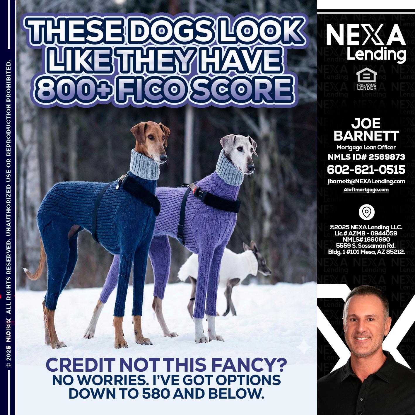 THESE DOGS LOOK - Joe Barnett -Mortgage Loan Officer